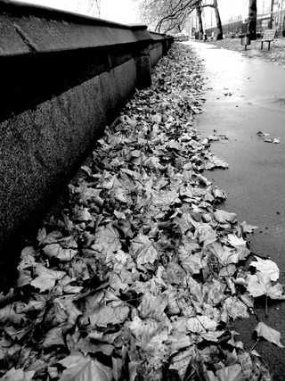 Illustration for article titled Shooting Challenge Fall Leaves Gallery 1